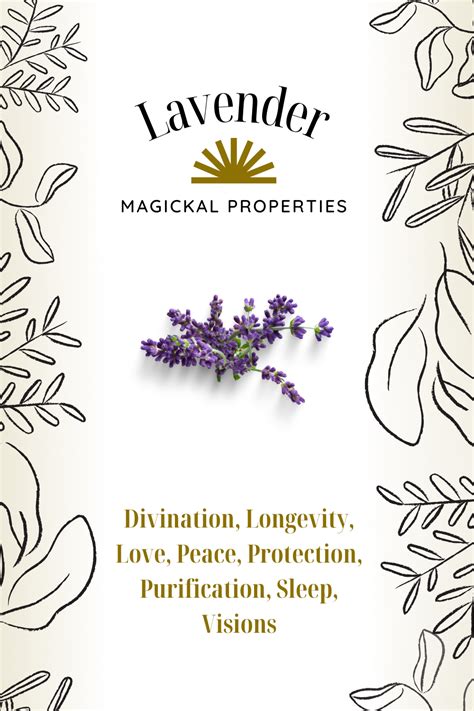 Lavender magickal properties